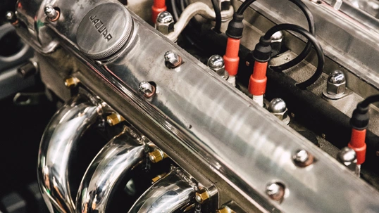 Ford Servis Cena